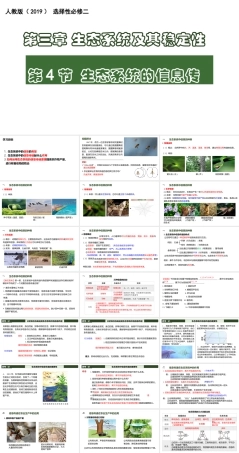 人教版（2019）高中生物选择性必修二《3.4 生态系统的信息传递》课件.ppt