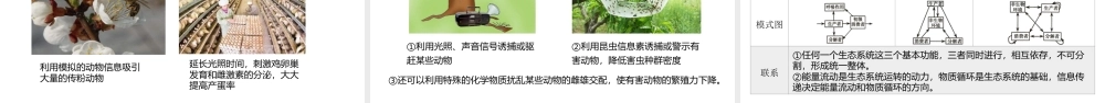 人教版（2019）高中生物选择性必修二《3.4 生态系统的信息传递》课件.ppt