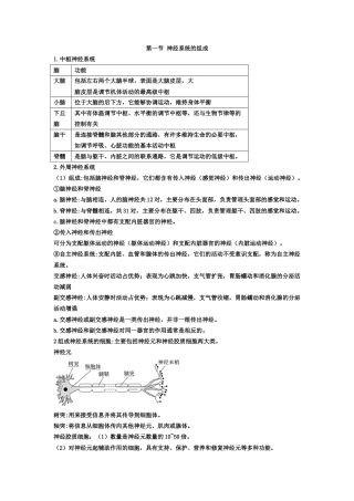 人教版（2019）高中生物选择性必修一《第2章 神经调节》期末复习知识点总结.doc