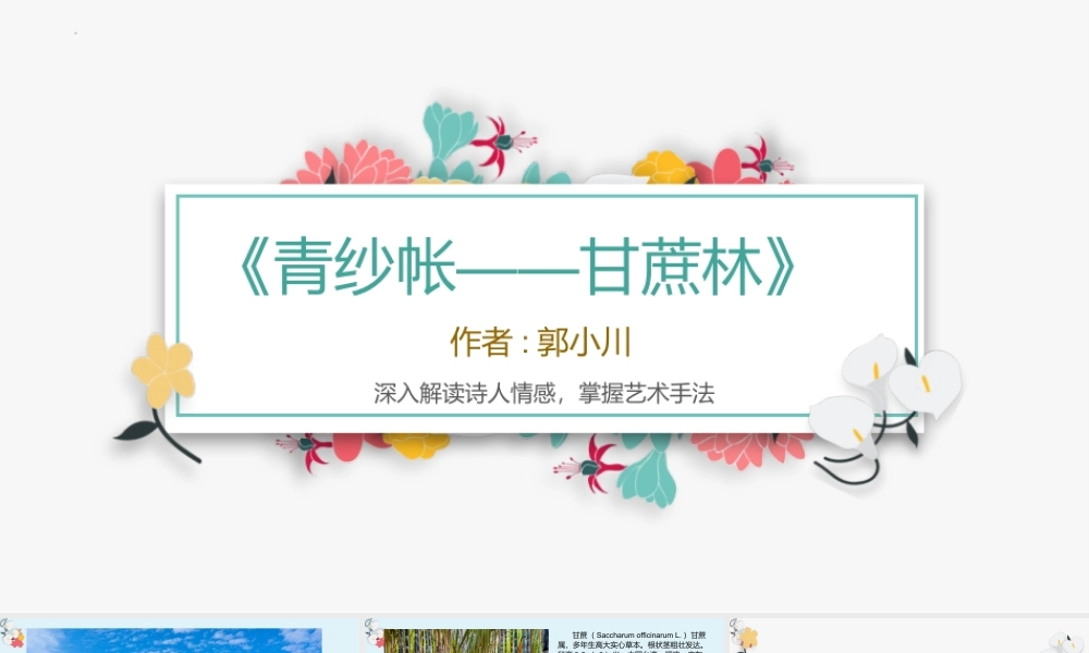 《青纱帐——甘蔗林》-【中职专用】高一语文同步教学优质课件（高教版2023 基础模块下册）.pptx