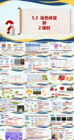 5.2 染色体变异-2025-2026学年高一生物同步备课课件（人教版2019必修2）.pptx