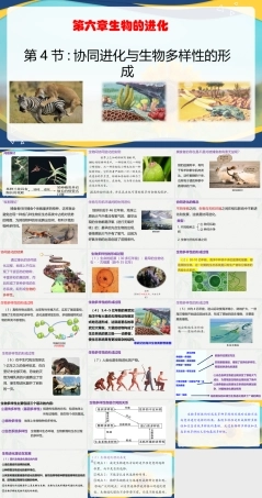 6.4 协同进化与生物多样性的形成-2025-2026学年高一生物同步课件（人教版2019必修2） (2).pptx