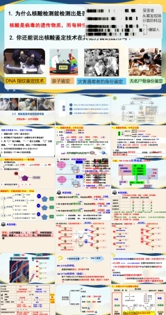 2.5 核酸是遗传信息的携带者-2025-2026学年高一生物同步课件（人教版2019必修1）.pptx