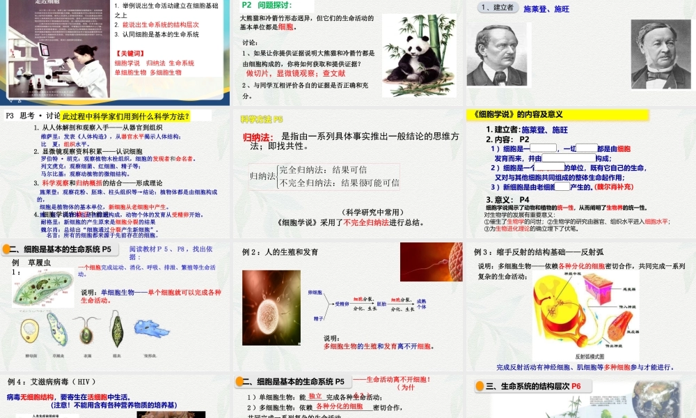 1.1 细胞是生命活动的基本单位-2025-2026学年高一生物同步课件（人教版2019必修1）.pptx