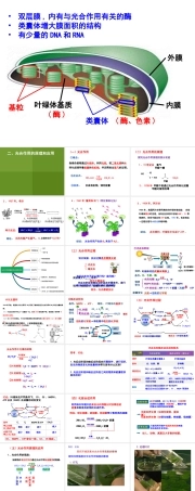 人教版生物必修第一册2《光合作用的原理和应用》课件.ppt