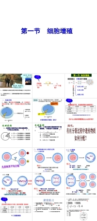人教版生物必修第一册第1节《细胞的增殖》获奖说课课件.ppt