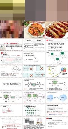 人教版生物必修第一册第4节《蛋白质是生命活动的主要承担者》课件.ppt