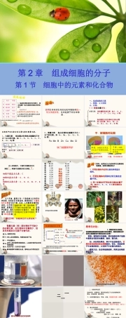 人教版生物必修第一册同步课件：第1节《细胞中的元素和化合物》.ppt