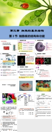 人教版生物必修第一册同步课件：第3章《本章综合与测试》.ppt