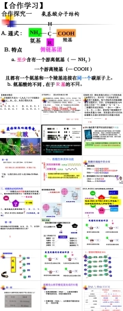 人教版生物必修第一册同步课件：《第5节 核酸是遗传信息的携带者》.ppt