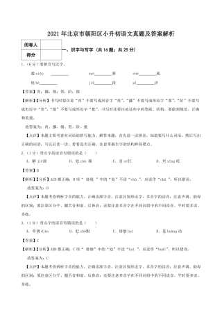 2021年北京市朝阳区小升初语文真题及答案解析.pdf
