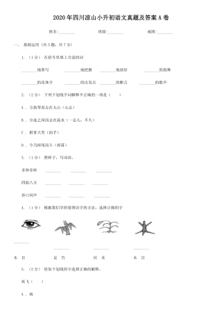 2020年四川凉山小升初语文真题及答案A卷.pdf