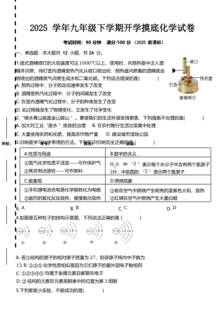 2024-2025学年九年级下学期开学摸底化学试卷.docx