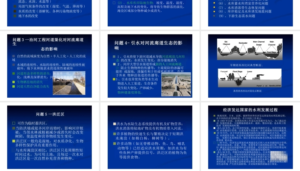 2025年-生态水利工程概要与实践-水利厅.pptx