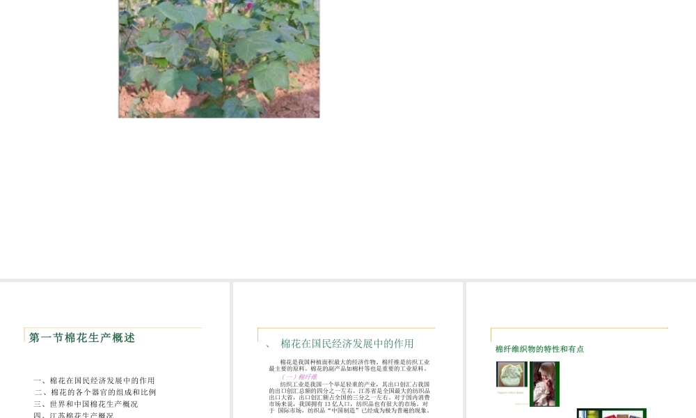 2025年高校课件-《棉花栽培学》全套教学课件-新版.pptx