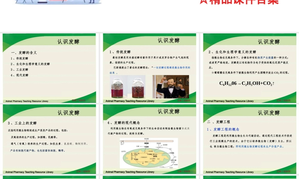 2025年课件-(已瘦身)《发酵工程制药技术》教学课件合集（完整全套课件）-新版.pptx