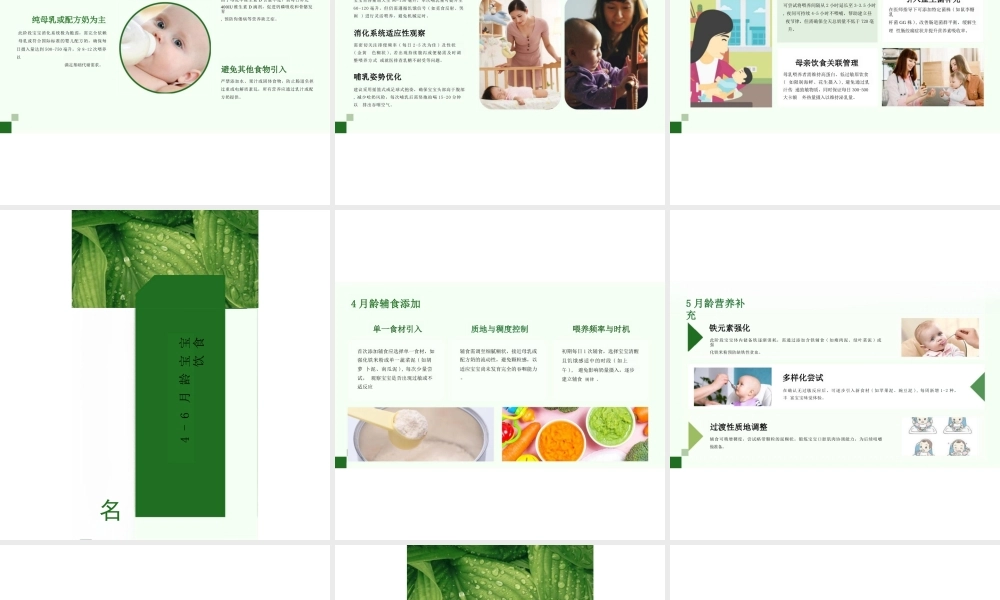 2025年课件-婴幼儿饮食与营养-高职课件-新版.pptx