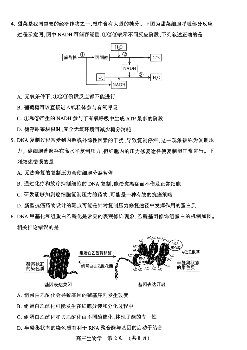 （平顶山许昌济源洛阳）2027届高三第一次质量检测（一模） 生物试卷（含答案）原卷.pdf_第2页
