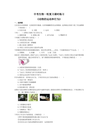 中考生物一轮复习课时练习《动物的运动和行为》（含答案）.doc