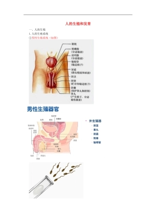 中考生物总复习《人的生殖和发育》知识点总结.doc