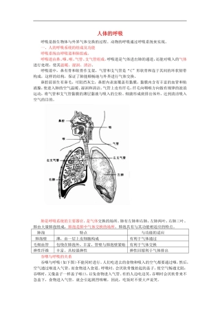 中考生物总复习《人体的呼吸》知识点总结.doc