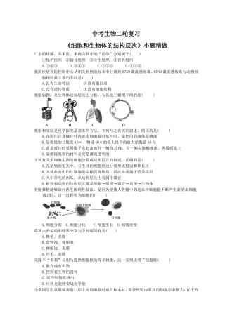 中考生物二轮复习《细胞和生物体的结构层次》小题精做（含答案）.doc
