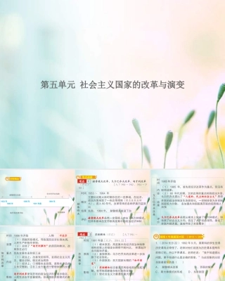 2022年人教版中考历史一轮复习课件：6.5《社会主义国家的改革与演变》（含答案）.ppt