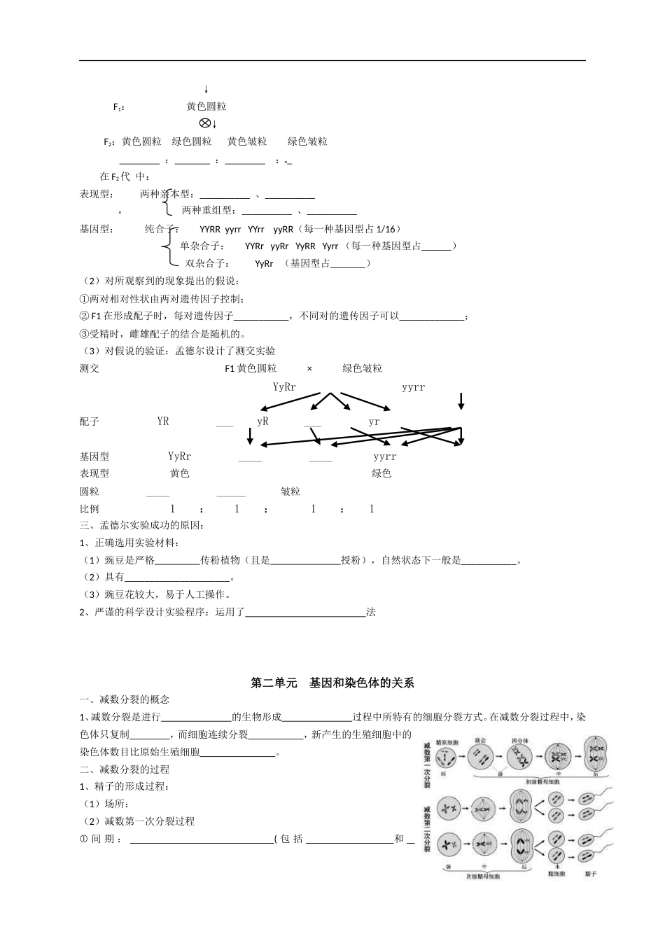 高考生物知识点归纳专题1遗传因子的发现、基因与染色体的关系（默写版）.doc_第2页