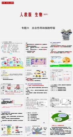 (人教版)高考生物二轮复习课件专题06 光合作用和细胞呼吸 (含解析).ppt