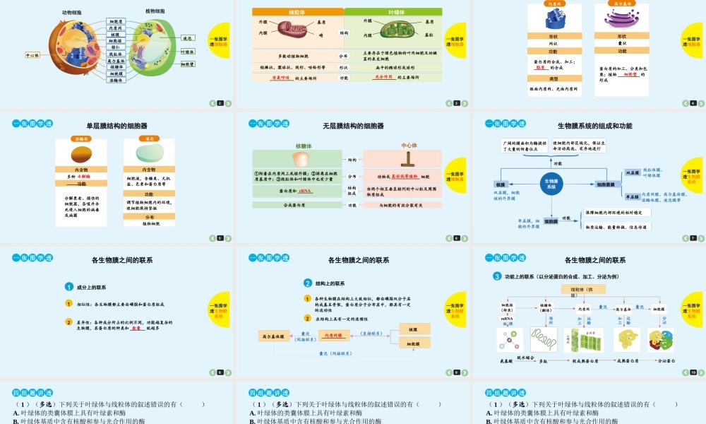 (通用版)高考生物一轮复习课件：第7课-细胞器(含解析).ppt