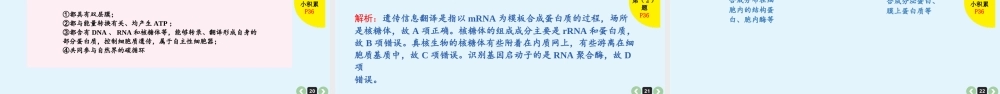 (通用版)高考生物一轮复习课件：第7课-细胞器(含解析).ppt