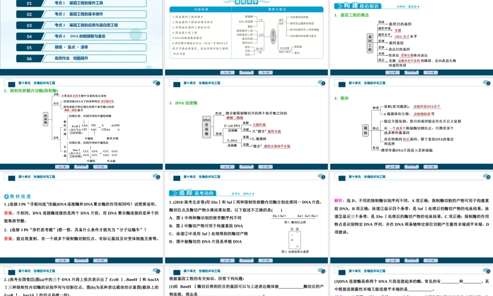 (新高考)高考生物一轮复习讲义课件第34讲基因工程 (含解析).ppt