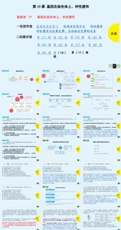 (通用版)高考生物一轮复习课件：第19课-基因在染色体上、伴性遗传(含解析).ppt