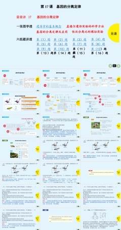 (通用版)高考生物一轮复习课件：第17课-基因的分离定律(含解析).ppt