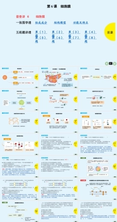 (通用版)高考生物一轮复习课件：第6课-细胞膜(含解析).ppt