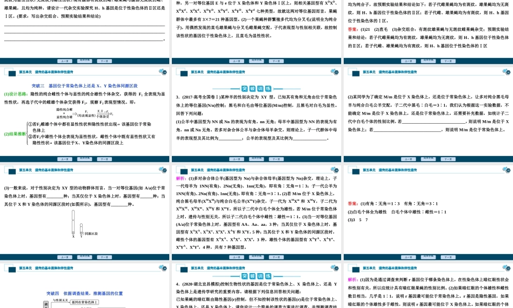(新高考)高考生物一轮复习讲义课件加强提升课(5)基因位置的判定及相关实验设计突破 (含解析).ppt