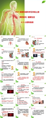 2021新教科版科学五年级上册《4.3.心脏和血液》课件.pptx