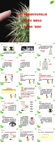 2021新教科版科学五年级上册《4.5.身体的“联络员”》课件.pptx