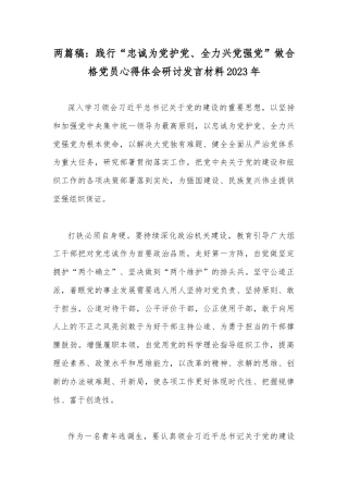 两篇稿：践行“忠诚为党护党、全力兴党强党”做合格党员心得体会研讨发言材料2023年.docx
