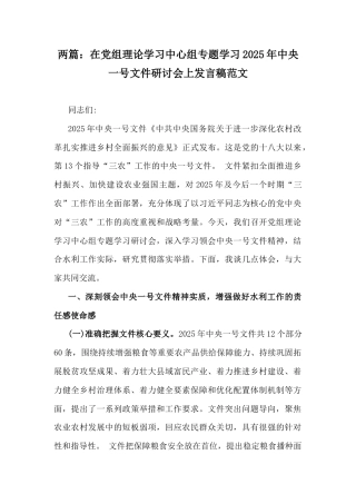 两篇：在党组理论学习中心组专题学习2025年中央一号文件研讨会上发言稿范文.docx