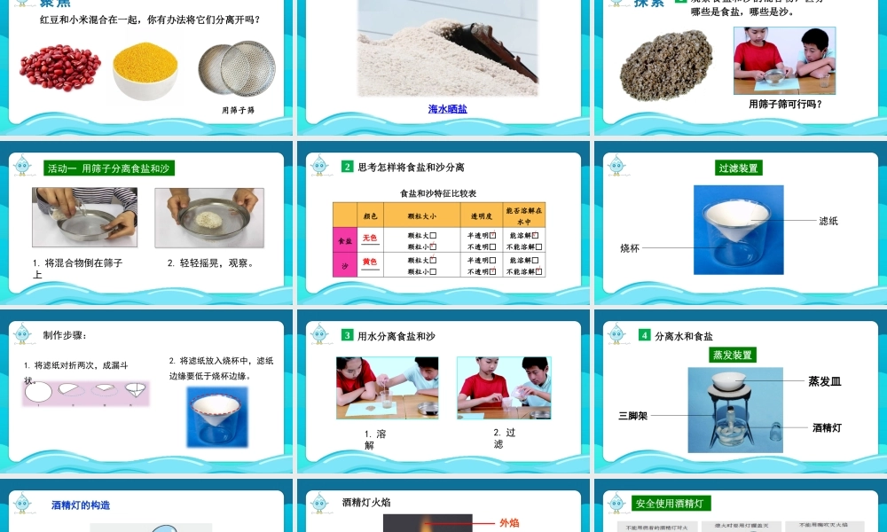 2025年教科版小学三年级上册科学第一单元《第7课混合与分离》教学课件.PPTX