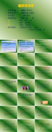 罗宾斯组织行为学课件.ppt