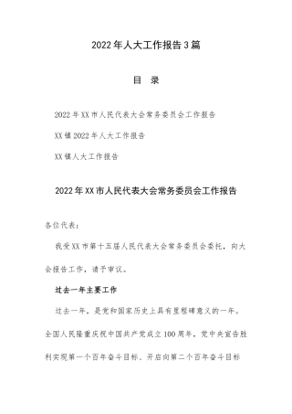 2022年人大工作报告3篇.docx