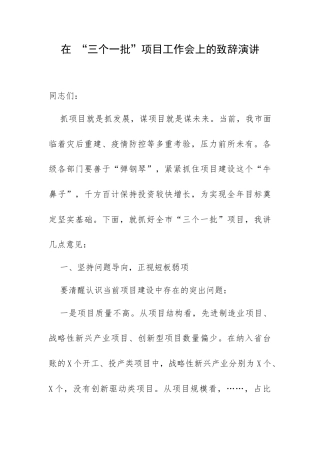 在 “三个一批”项目工作会上的致辞演讲.docx