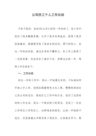 公司员工个人工作总结.docx