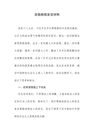 自我检视发言材料.docx