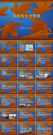 风电场安全管理.ppt