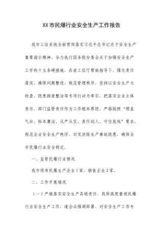 XX市民爆行业安全生产工作报告.docx