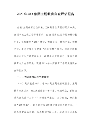 2023年XXX集团专题教育自查评估报告.docx