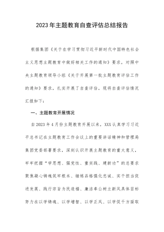 2023年专题教育自查评估总结报告.docx